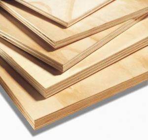 1/4x4x8 Acx Pine Plywood