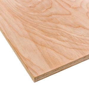 3/4"x4x8 Birch Plywood B-2