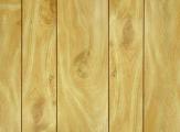 1/8"x4x8 Honey Birch Panel