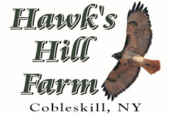 Hawks Hill Farm