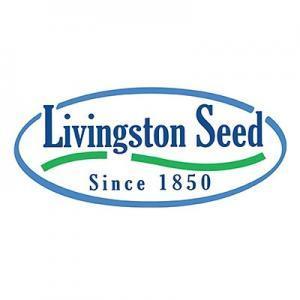 Livingston Seed Sow Easy Impatiens Baby Mix