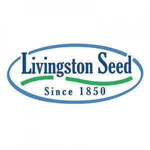 Livingston Seed Sow Easy Zinnia Oriole