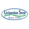 Livingston Seed Sow Easy Cleome Fountain Mix