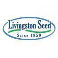 Livingston Seed Sow Easy Zinnia Oriole