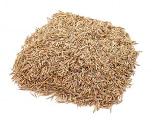 Grass Seed High Traffic 25Lb