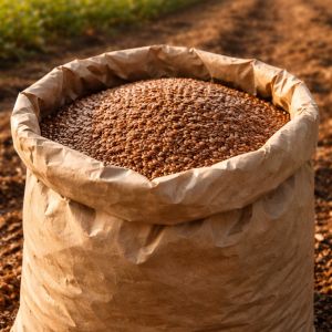 Feed- Grains &amp; Miscellaneous