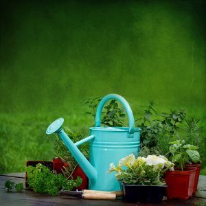 Lawn &amp; Garden - Accessories