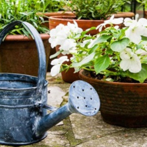 Lawn &amp; Garden - Accessories