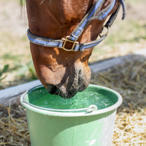 Buckets, Pails &amp; Pans