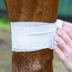 Wound &amp; Hoof Care