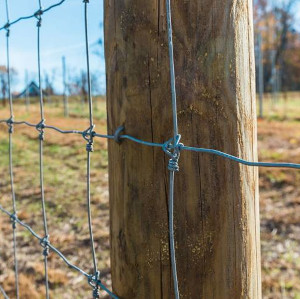 Field Fence