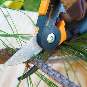 Pruners, Loppers &amp; Cutting