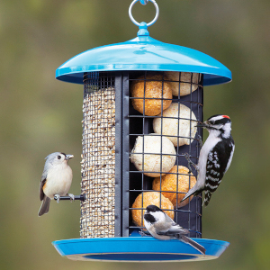 Bird &amp; Wildlife Feeders