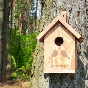 Bird Houses