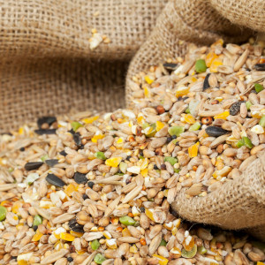 Bird Seed &amp; Wildlife Feed